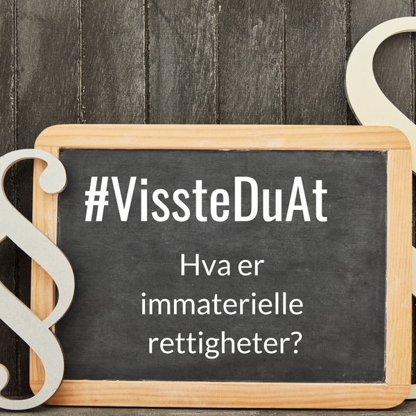 #VissteDuAt – Hva er immaterielle rettigheter?