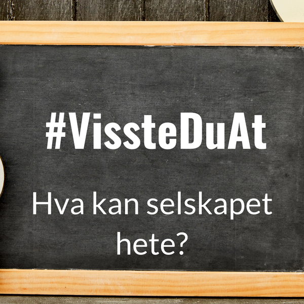 #VissteDuAt: Hva kan selskapet hete?
