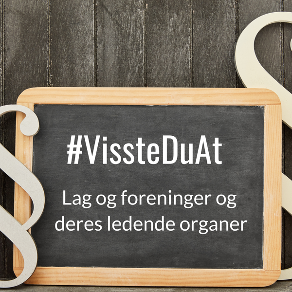 #VissteDuAt – Lag og foreninger og de ledende organene