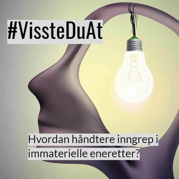 #VissteDuAt: Hvordan håndtere inngrep i immaterielle eneretter?
