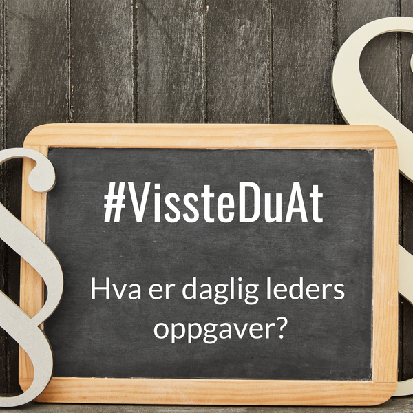 #VissteDuAt: Hva er daglig leders oppgaver?