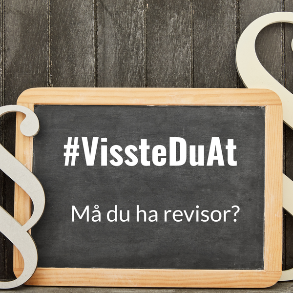 #VissteDuAt: Må du ha revisor?