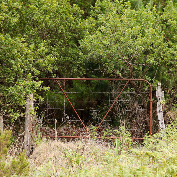 Ringeriksbanen og E16 – fellesprosjektet