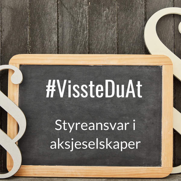 #VissteDuAt – Styreansvar i aksjeselskaper